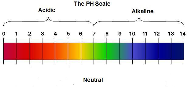 pH scale from 0-14 using color indicators and text showing which levels are acidic and alkaline