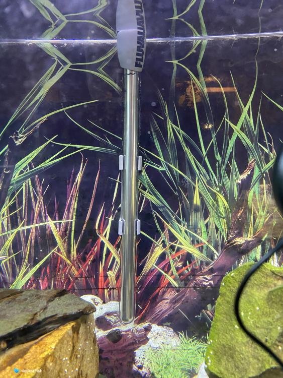 Fluval m200 aquarium heater in fish tank