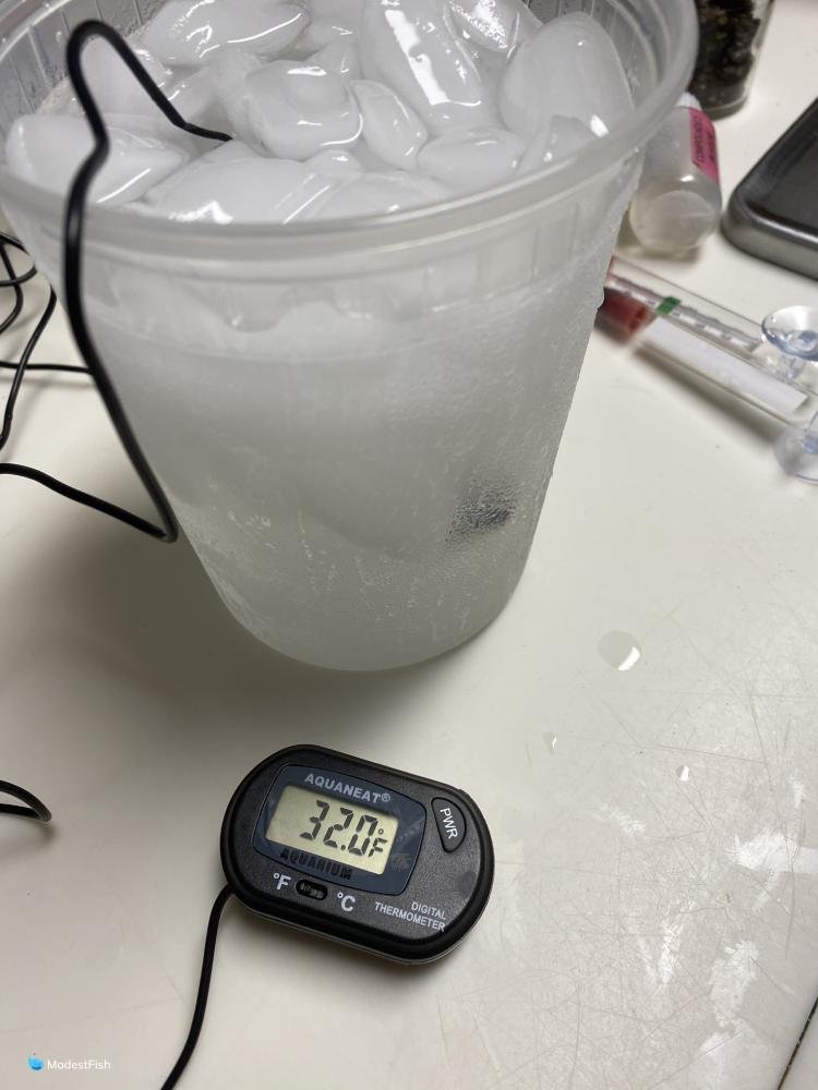 thermometer ice bucket test