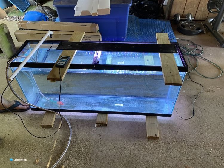 Aquarium LED light PAR testing