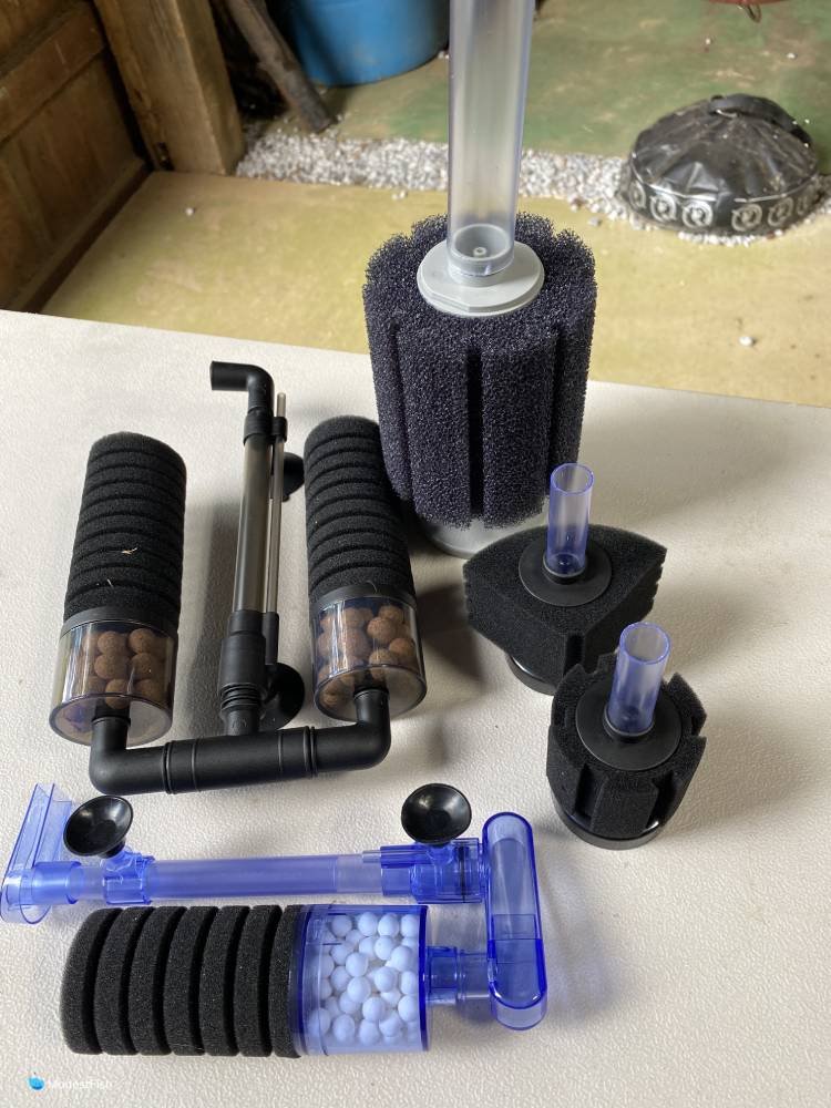 Group shot of all sponge filters tested