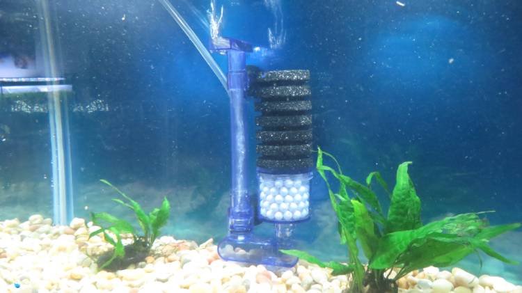 UPETTOOLS sponge filter set up in fish tank
