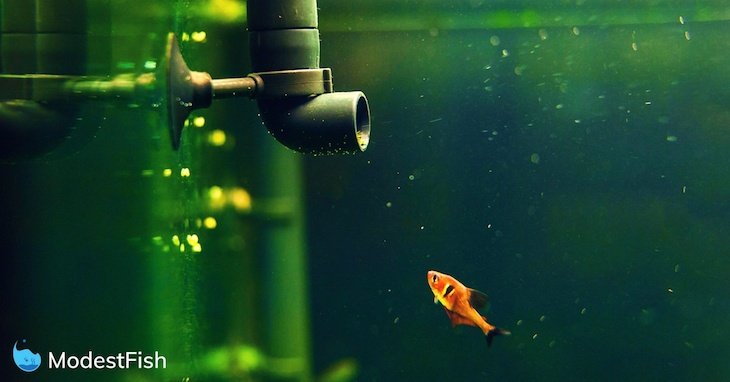 Eksempel Ægte status Quietest Water Pumps For Your Aquarium: 2021 Reviews Updated - Best