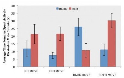grafiek die laat zien hoe vrouwelijke betta meer aandacht besteden aan rode betta's dan aan blauw op basis van beweging