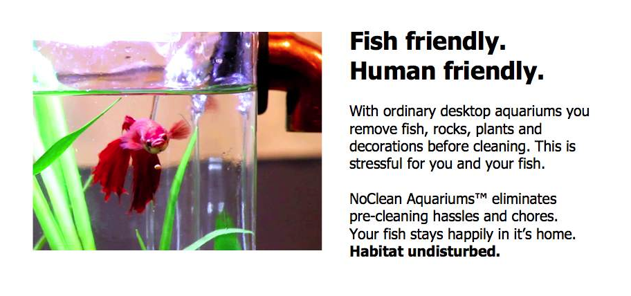 screenshot of no clean fish tanks website