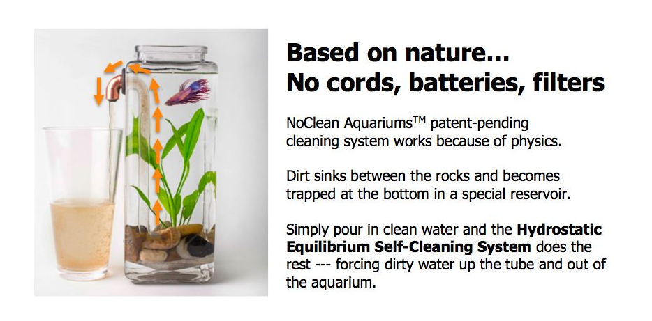 screenshot of noclean aquariums website