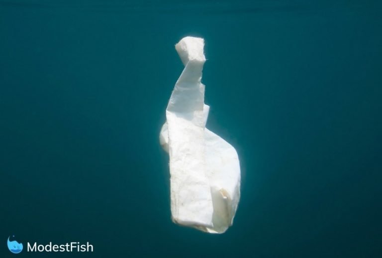 A single plastic bag floating in the ocean