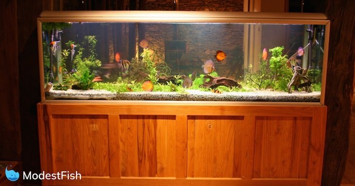 Aqua Culture 55-Gal Aquarium Stand Fish Tank Holder Cherry Storage Cabinet New 