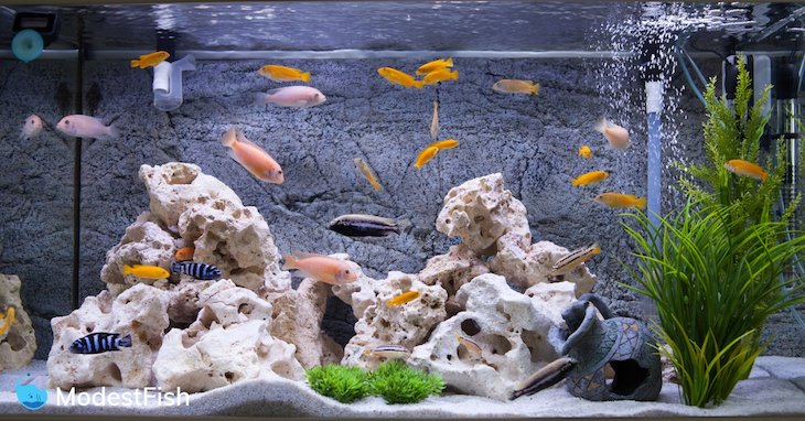ELEBOX New 20 x 48 Fish Tank Background 2 Sided River Bed & Lake Background Aquarium 