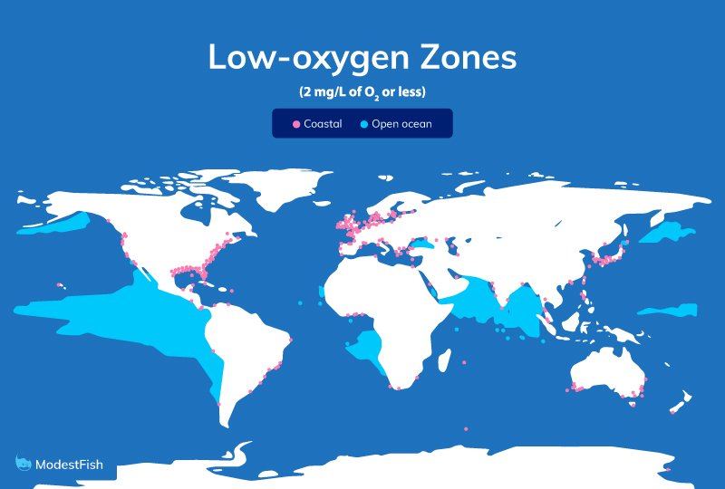 Locations of dead zones around the world