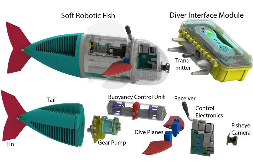 Robo fish parts