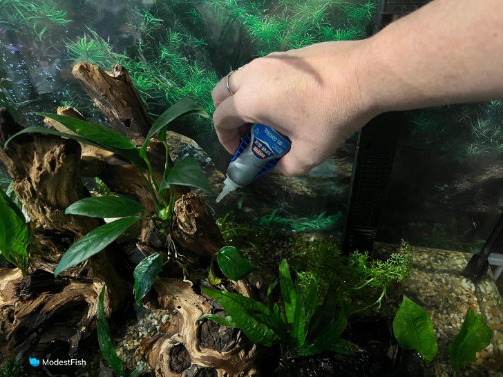The 7 Best Planted Aquarium Lights of 2024