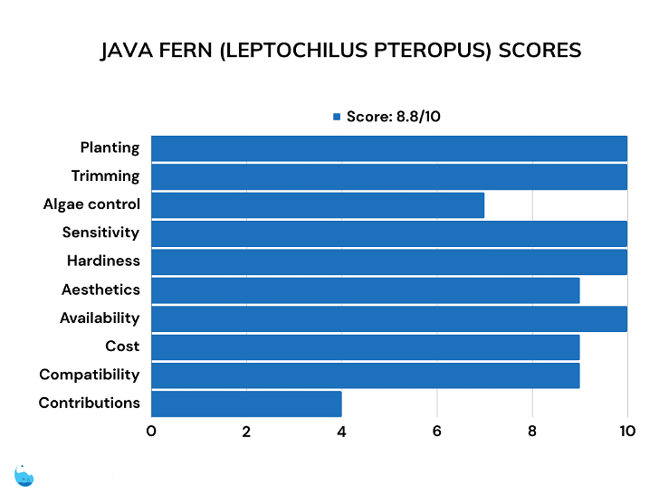 Java fern bar chart of ratings