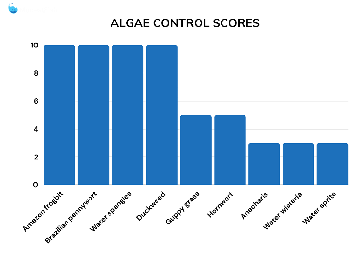 Floating plants algae control comparison table