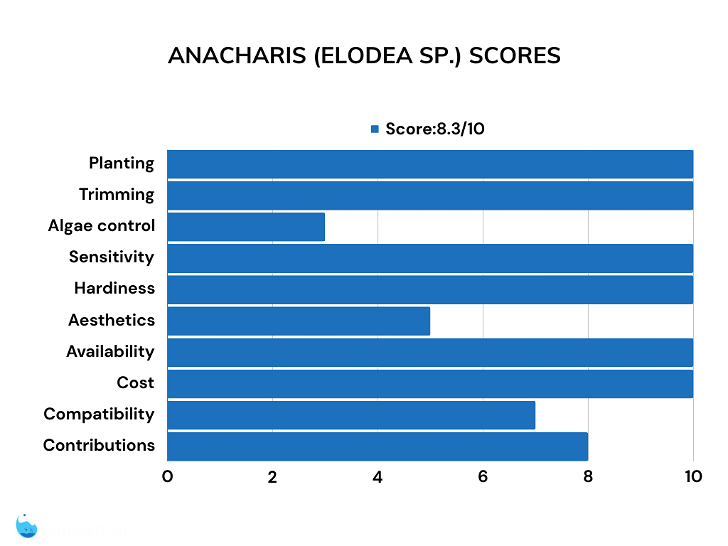 Anacharis floating plant review scores