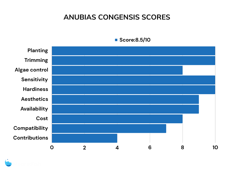 Anubias congensis bar chart of ratings