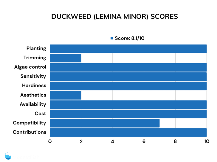 Duckweed floating plant review scores