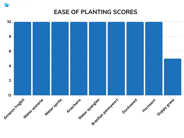 Floating plants ease of planting comparison table