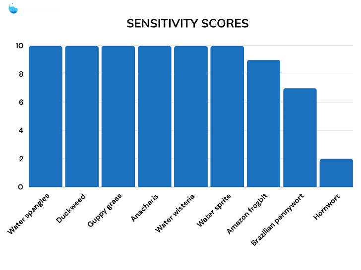 Floating plants sensitivity score comparison chart