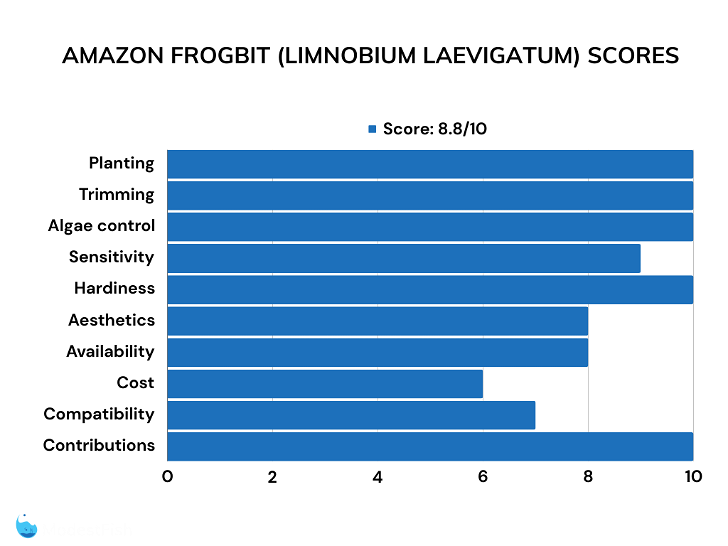 Amazon frogbit review scores