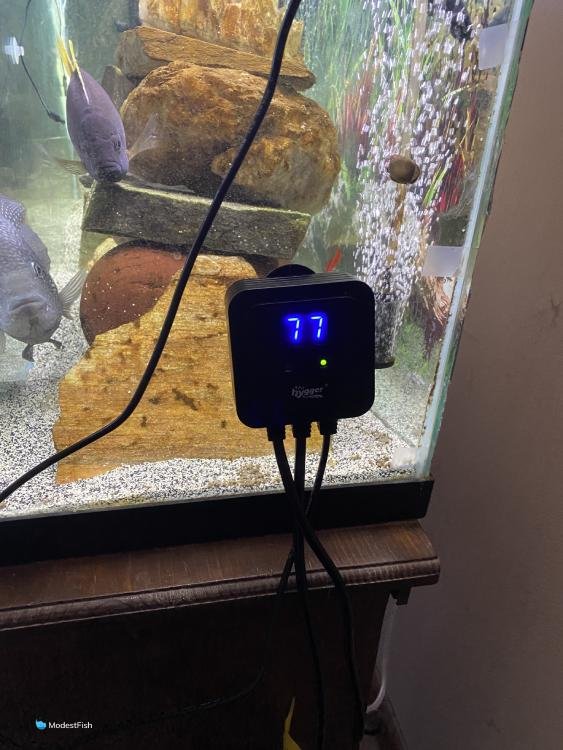 Hygger temperature display on side of fish tank