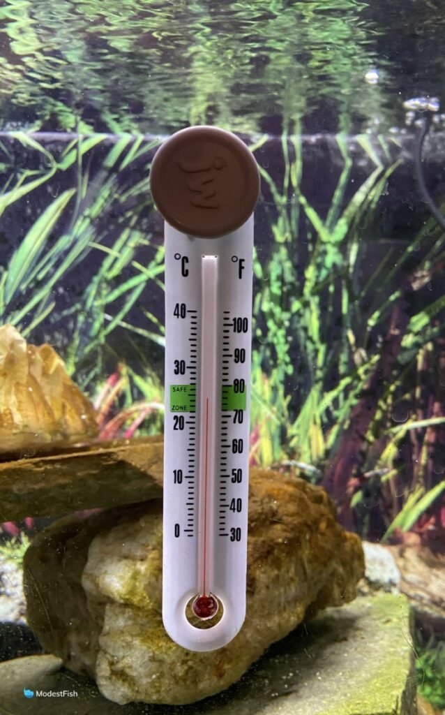 JW Pet Company Fusion Smarttemp Thermometer stuck on Kate's planted aquarium