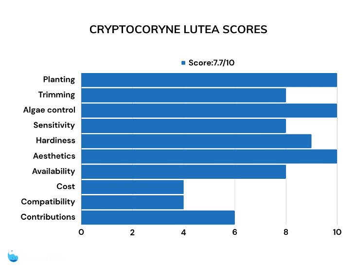 Cryptocoryne lutea bar chart of ratings