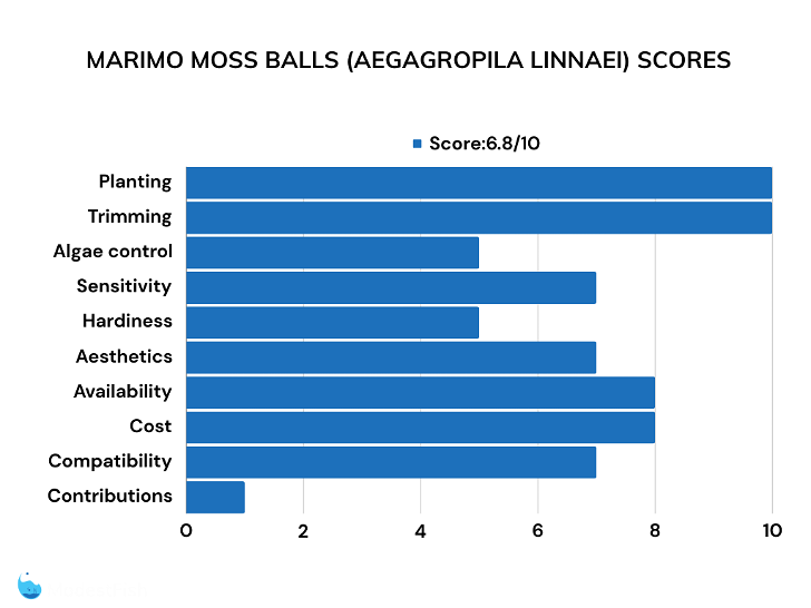 Marimo moss balls bar chart of raitings