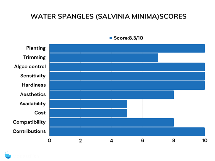 water spangles floating plant review scores