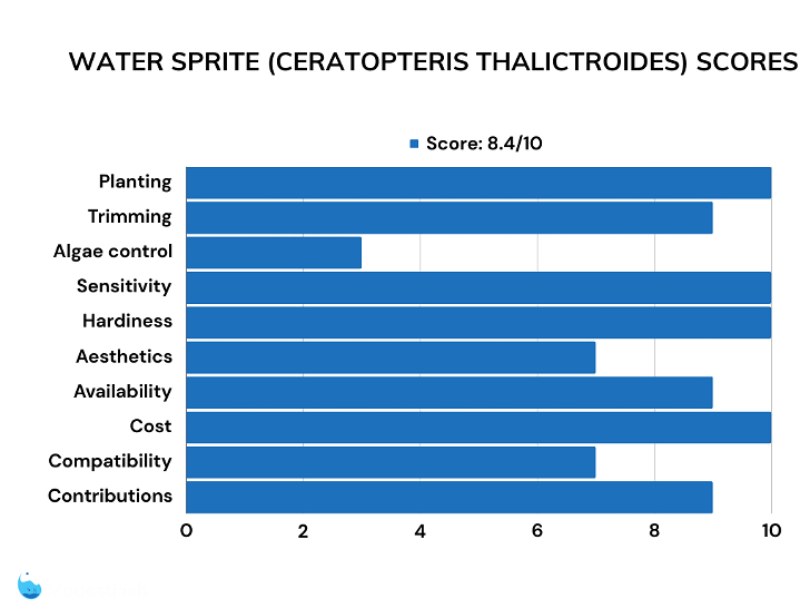 Water sprite floating plant review scores