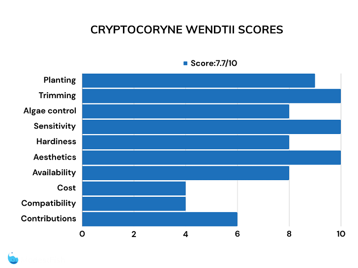 Cryptocoryne wendtii bar chart of ratings