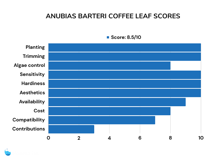 Anubias barteri scores bar chart