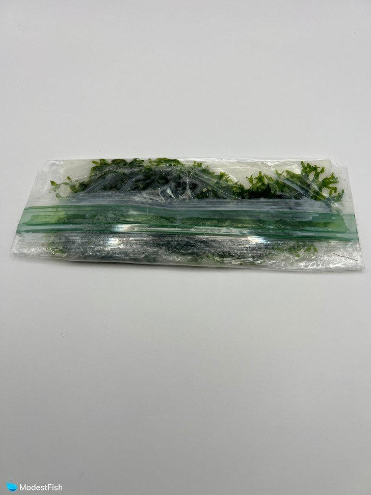 Pelia moss packaging