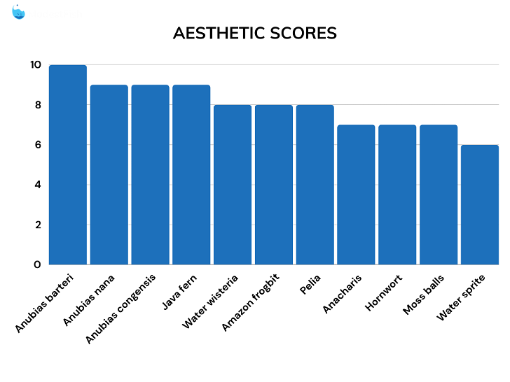 Aesthetic score comparisons for betta fish plants