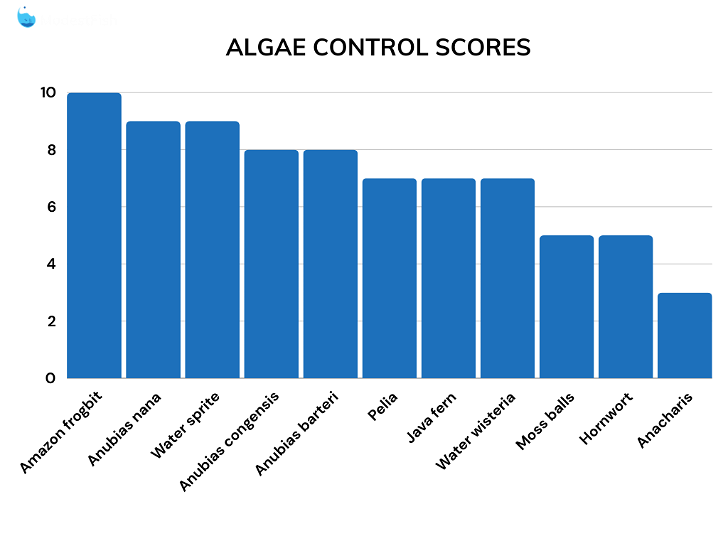 algae control score comparisons for betta fish plants