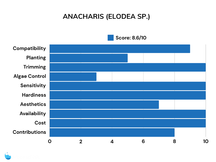 Anacharis scores for betta plants