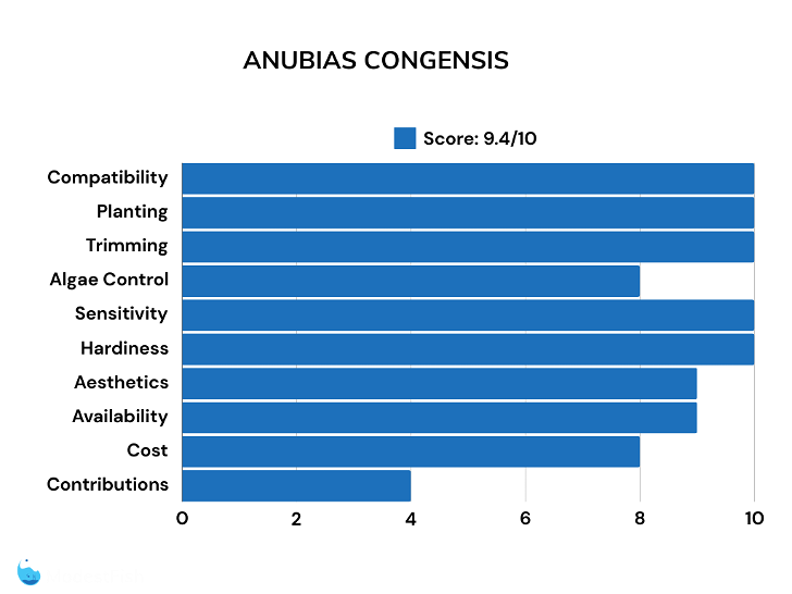 anubias congensis scores for betta plants