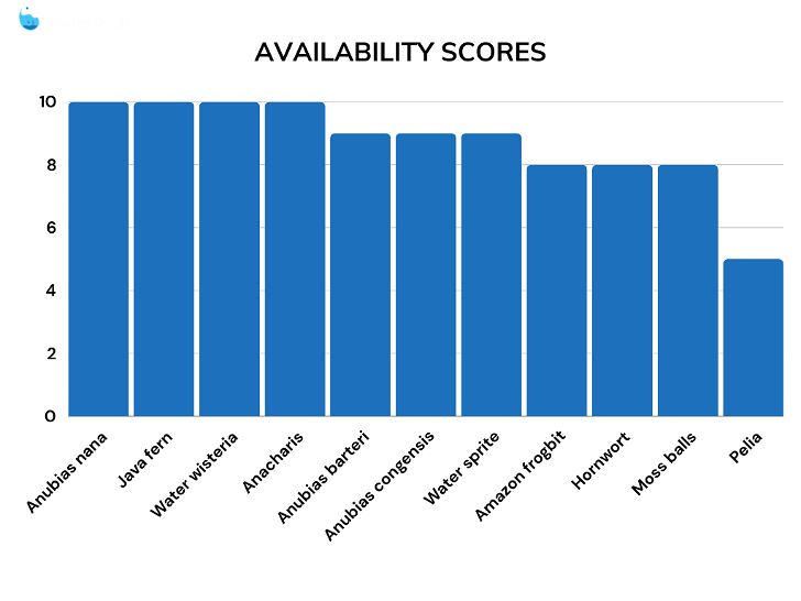 Availability score comparisons for betta fish plants