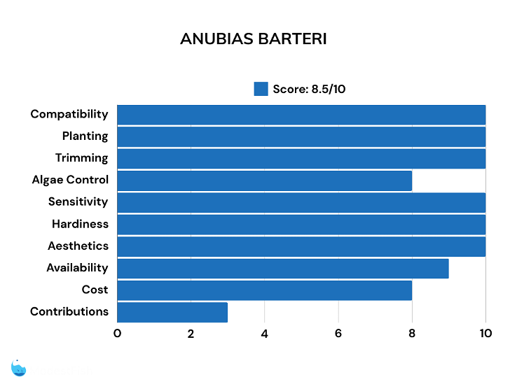 Anubias barteri scores for betta plants