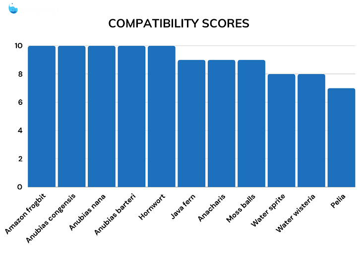 Compatibility score comparisons for betta fish plants
