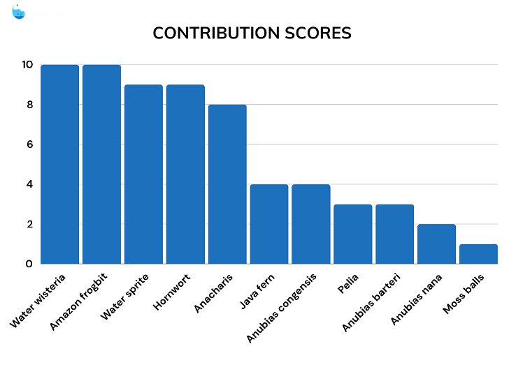 Contribution score comparisons for betta fish plants