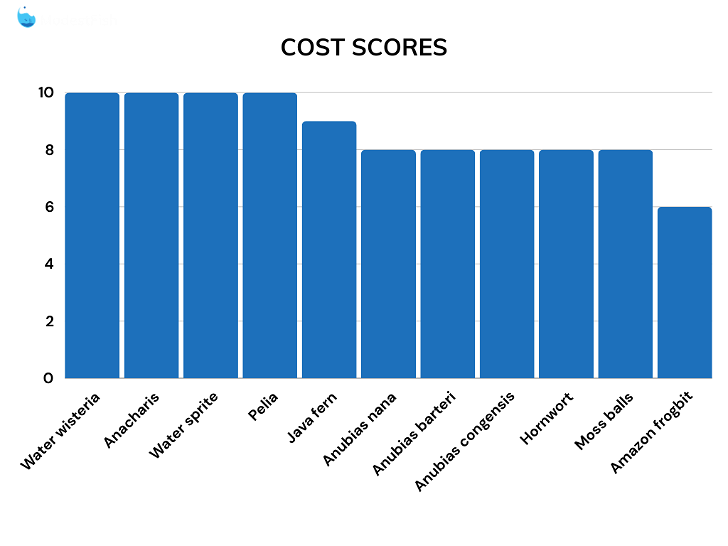 Cost score comparisons for betta fish plants