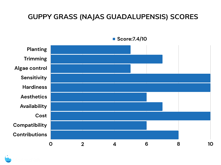 Guppy Grass score bar chart