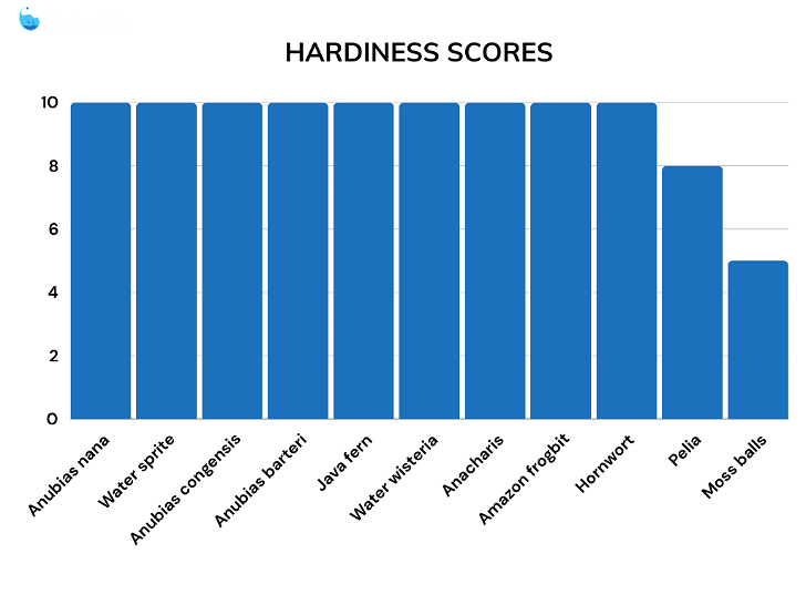 Hardiness score comparisons for betta fish plants