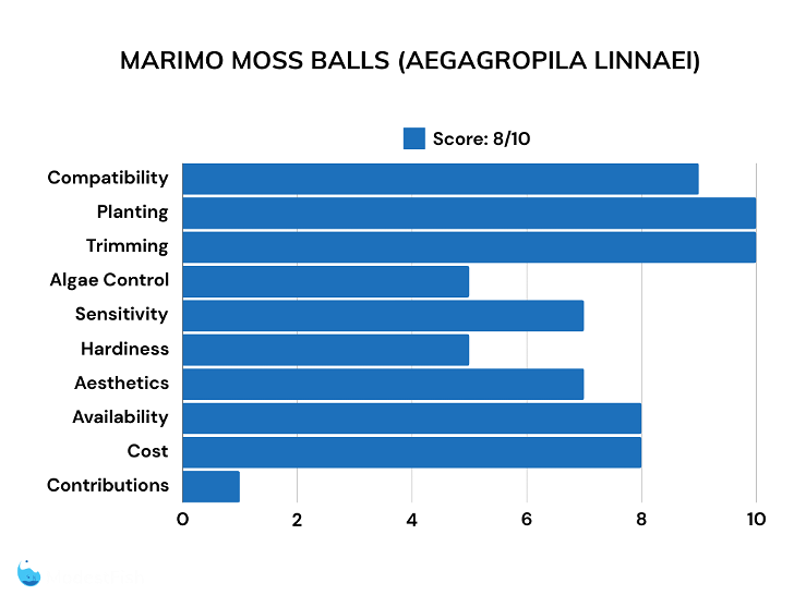 Marimo moss balls scores for betta plants