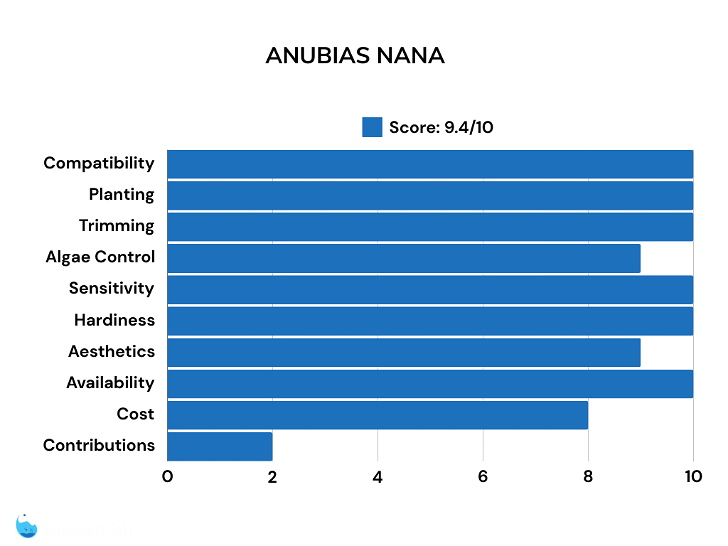 Anubias nana scores for betta plants