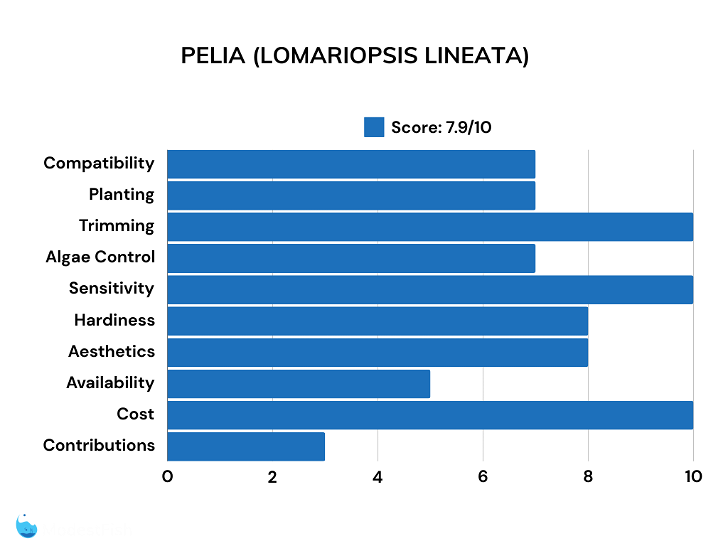 Pelia moss scores for betta plants