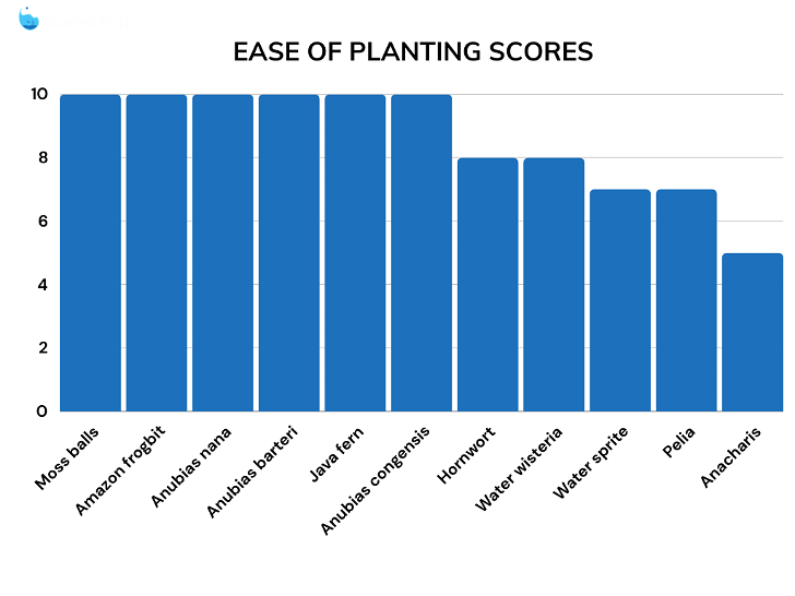 Planting score comparisons for betta fish plants