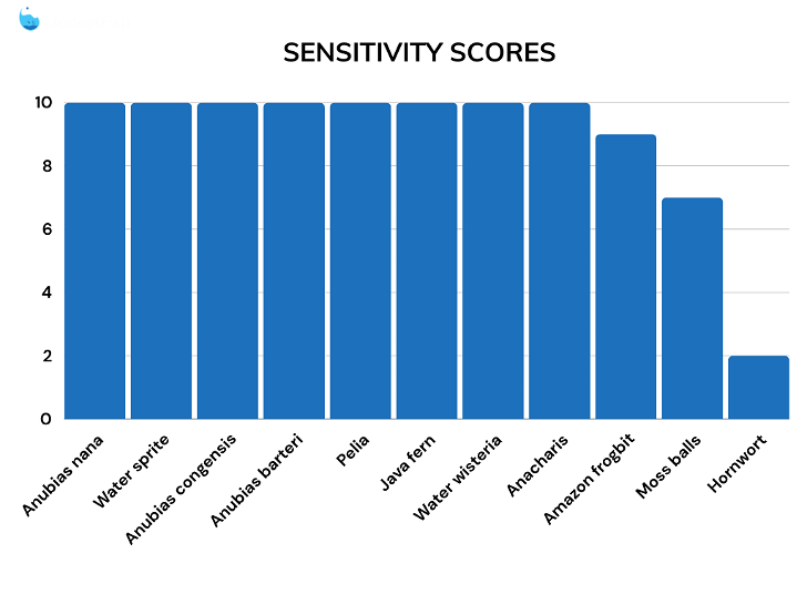 Sensitivity score comparisons for betta fish plants