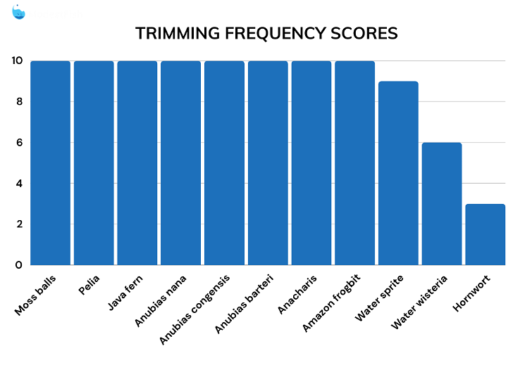 Trimming score comparisons for betta fish plants